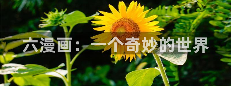 香蕉漫画-免费漫画：六漫画：一个奇妙的世界